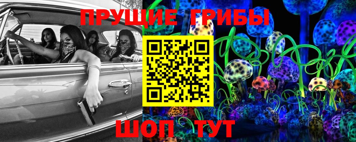 Псилоцибиновые грибы мицелий Жуковский